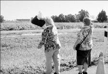 14f1.gif (17849 bytes)