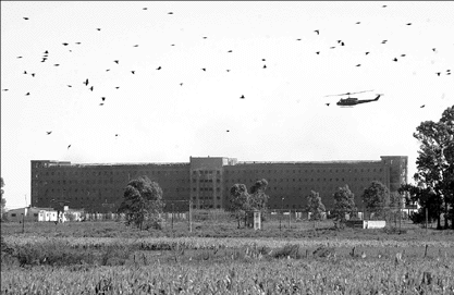 Penalm.gif (38010 bytes)