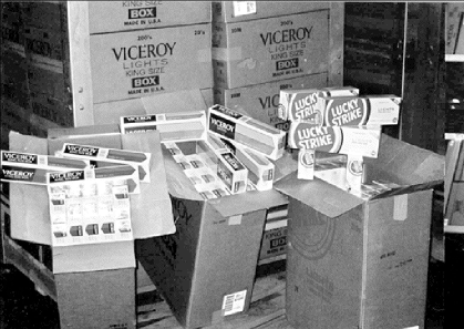 foto1retocada.gif (60410 bytes)