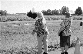 wpe1.gif (25304 bytes)