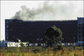 llamas1.gif (40927 bytes)