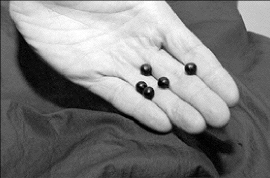 municio.gif (18563 bytes)