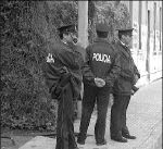 torofla.jpg (7263 bytes)