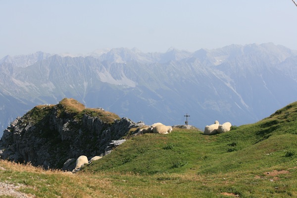 Ja des del cim, la Nordkette a l’altra banda de la Inntal