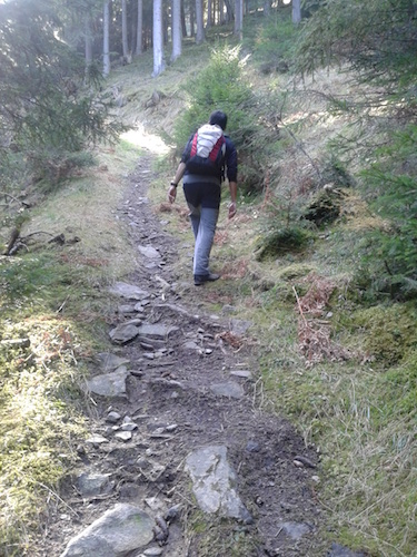 Cap amunt.