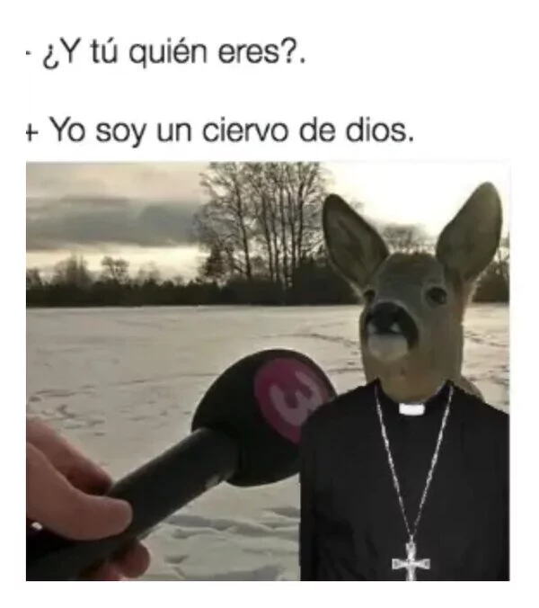 Meme: hay una frase sobre una imagen, la frase dice: '¿Quién es usted? Yo soy soy el ciervo del señor' en la imagen se ve un ciervo vestido de cura en un paisaje invernal
